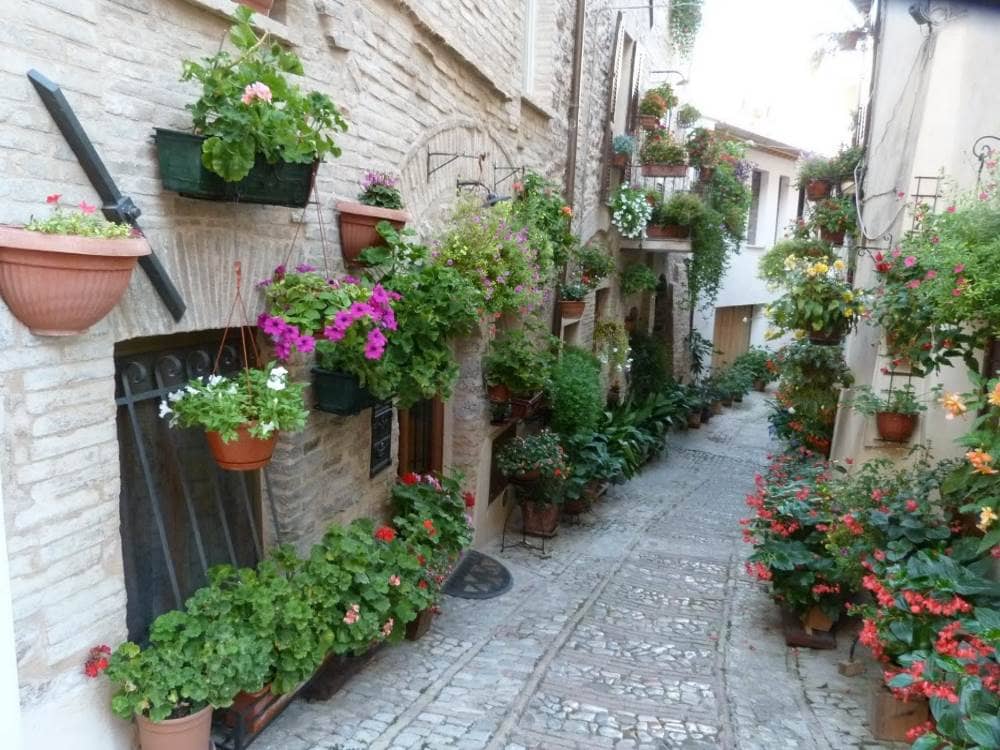 Wanderreise mittelalterliches Umbrien Assisi - Spoleto, Italien